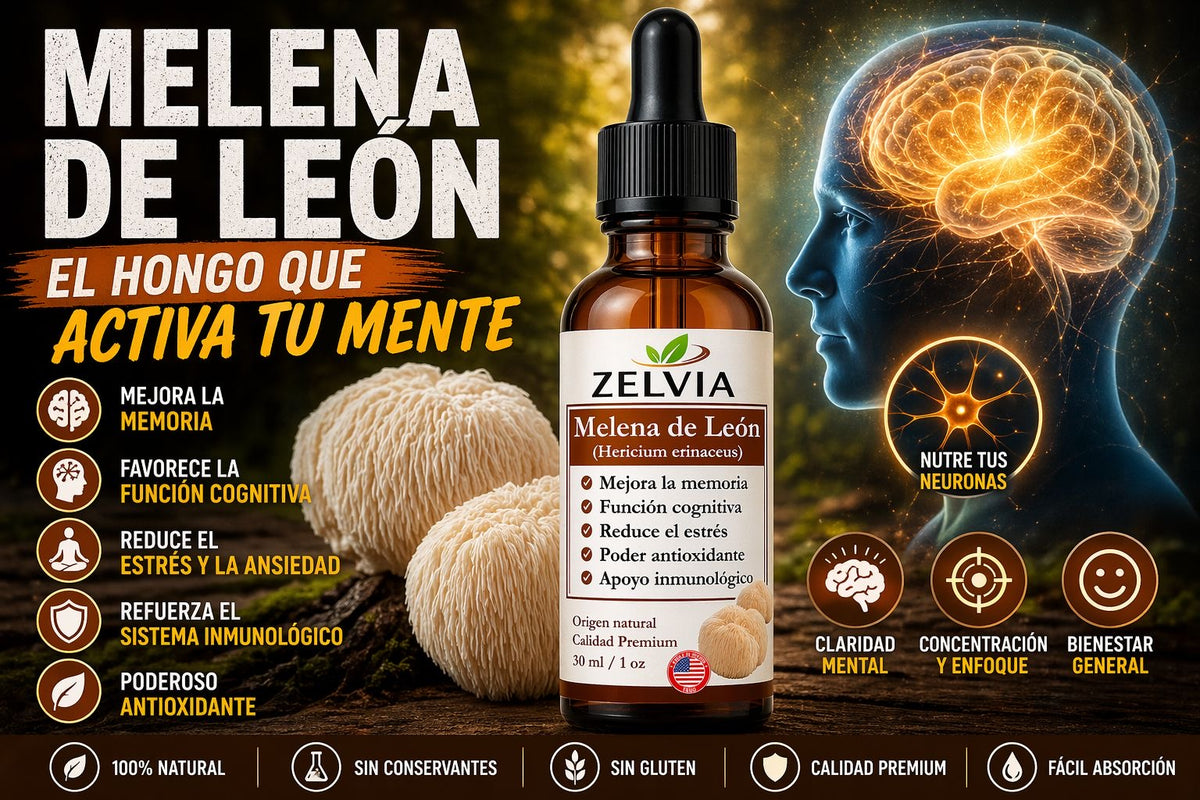Extracto Melena De Leon 30ml Extracto de Hericium erinaceus (Lion's Mane) – imagen 5