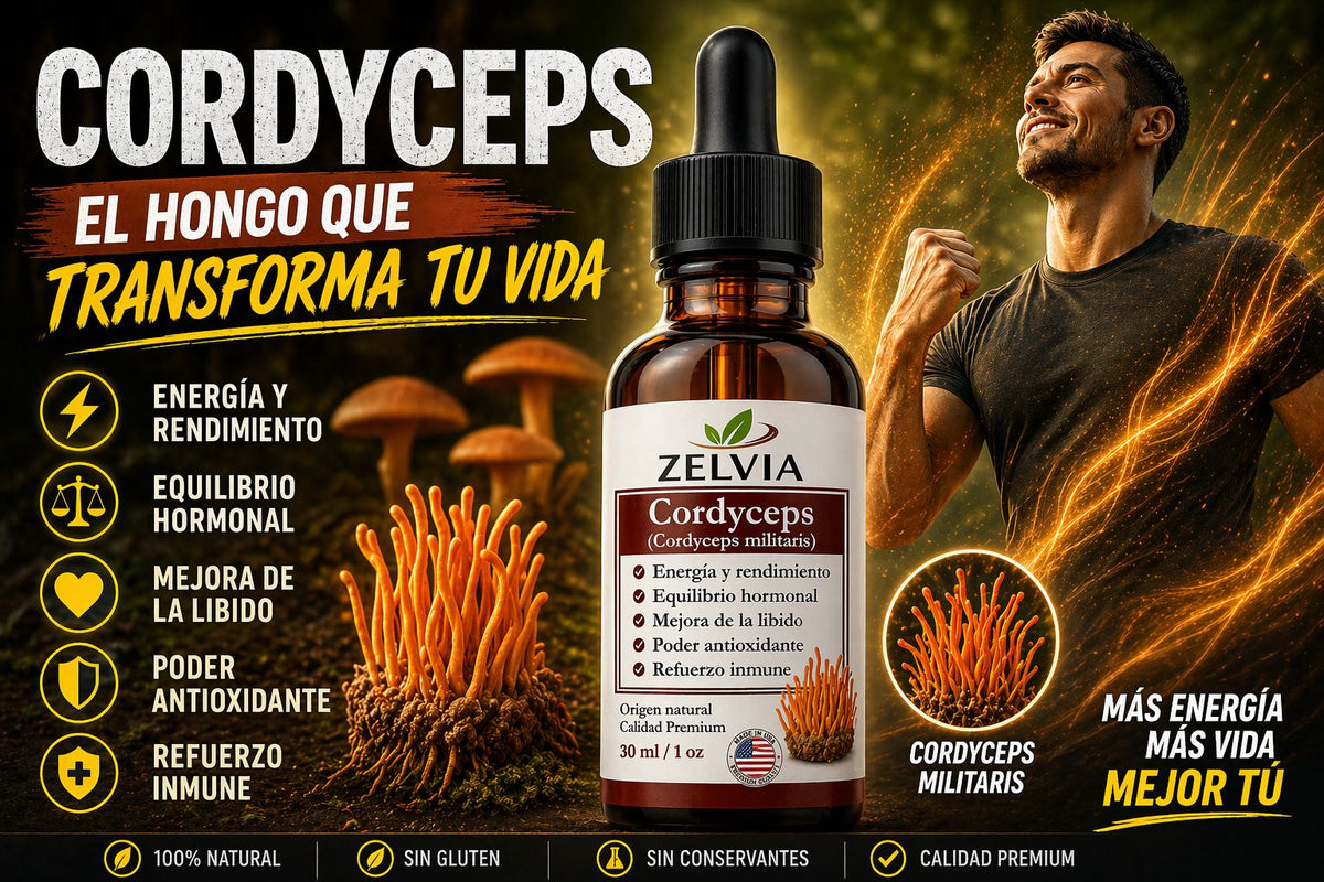 Extracto Cordyceps Militaris 30ml Cordyceps militaris – imagen 5