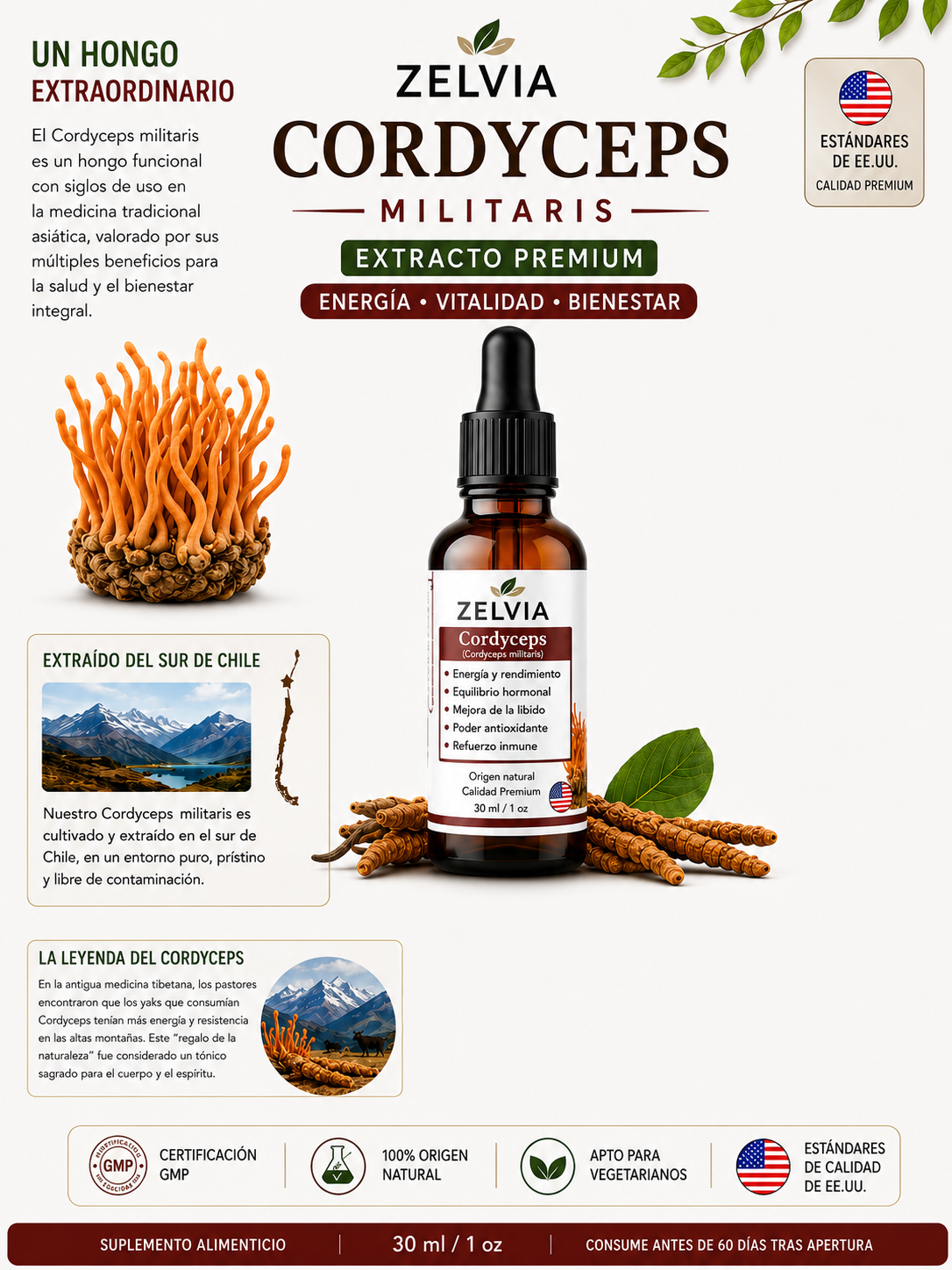 Extracto Cordyceps Militaris 30ml Cordyceps militaris – imagen 4