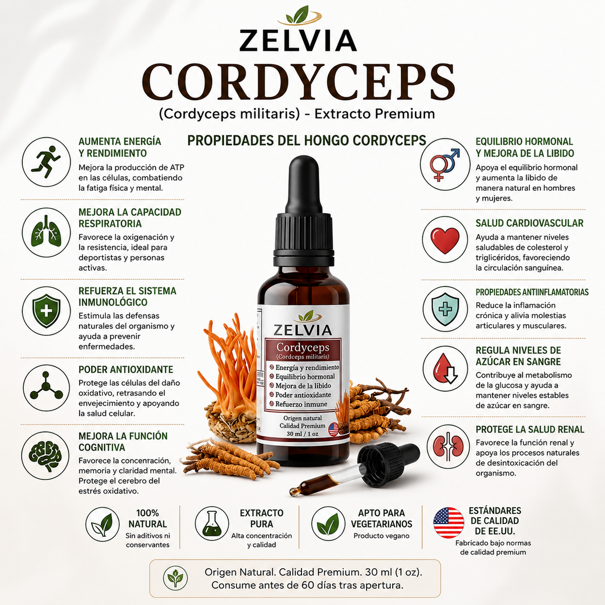 Extracto Cordyceps Militaris 30ml Cordyceps militaris – imagen 3