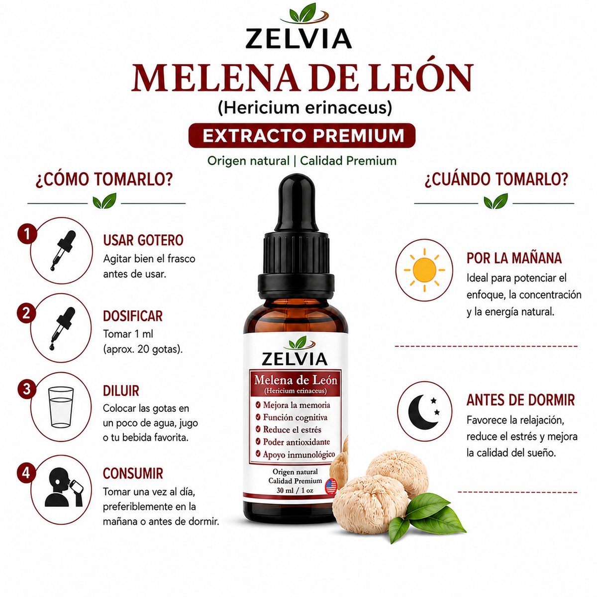 Extracto Melena De Leon 30ml Extracto de Hericium erinaceus (Lion's Mane) – imagen 4
