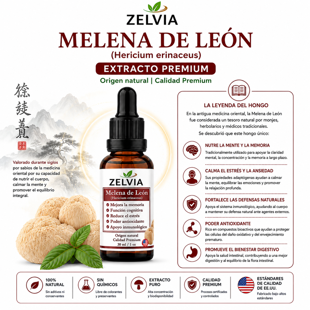 Extracto Melena De Leon 30ml Extracto de Hericium erinaceus (Lion's Mane) – imagen 2
