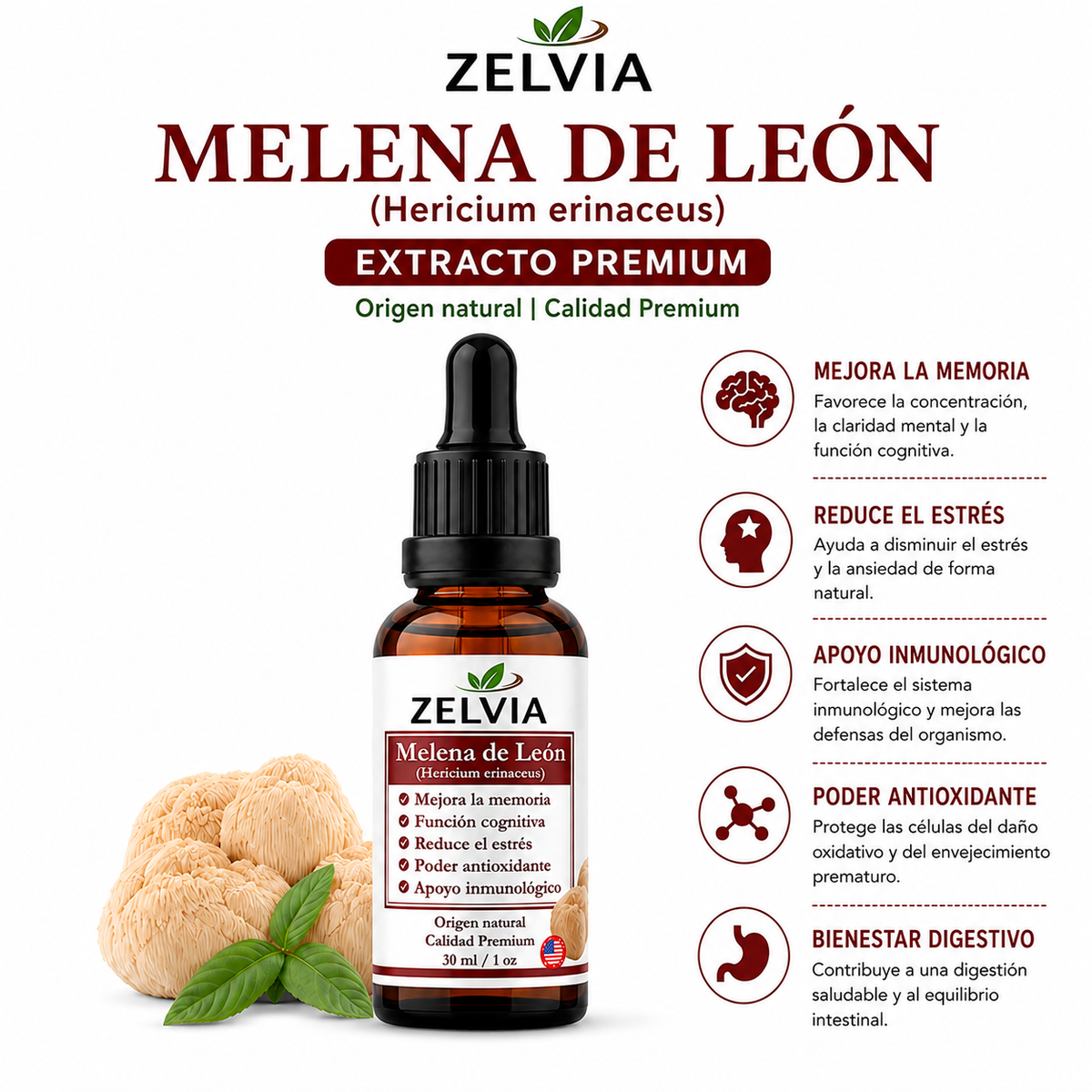 Extracto Melena De Leon 30ml Extracto de Hericium erinaceus (Lion's Mane) – imagen 3
