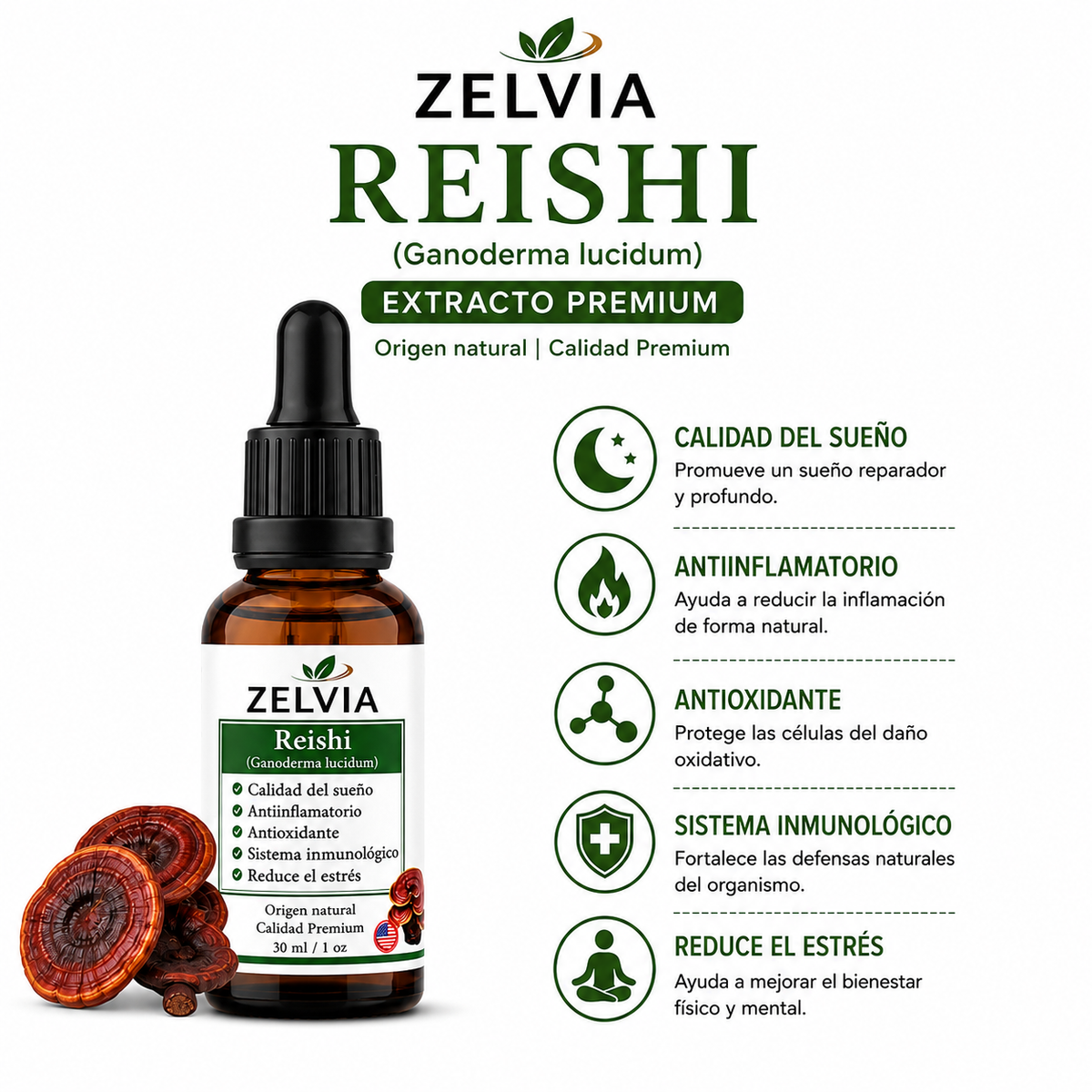 Extracto Reishi Ganoderma 30ml Extracto de Ganoderma lucidum – imagen 5