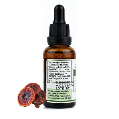 Extracto Reishi Ganoderma 30ml Extracto de Ganoderma lucidum – imagen 2